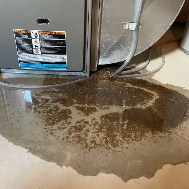 Appliance Leak Cleanup in Clarion County, PA